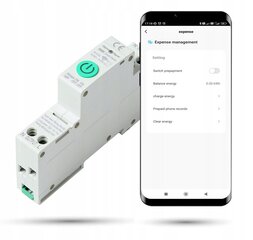 Zigbee kaitsme TUYA 1-40A Energia mõõtmine цена и информация | Выключатели, розетки | kaup24.ee