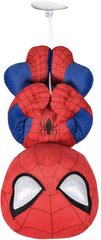 Spider-Man цена и информация | Атрибутика для игроков | kaup24.ee
