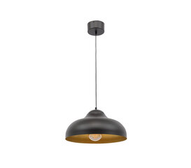 Подвесной светильник Desolo цена и информация | Потолочный светильник, 38 x 38 x 24 см | kaup24.ee