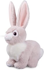 Мягкий бежевый кролик 30 см цена и информация | Мягкие игрушки | kaup24.ee