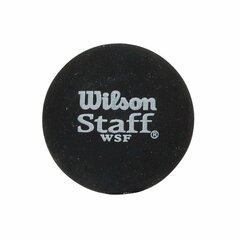 Squashi pall Wilson Staff, 1 tk. hind ja info | Padel, squash | kaup24.ee