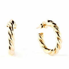 Naiste Kõrvarõngad Shabama Mali Messing kullaga kaetud 2 cm - S05115791 hind ja info | Kõrvarõngad | kaup24.ee