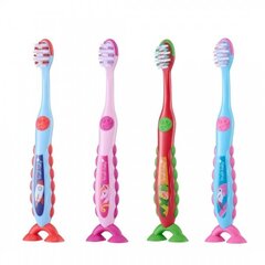Hambahari Brush-Baby Flossbrush 3-6 aastat, 4 värvi цена и информация | Для ухода за зубами | kaup24.ee