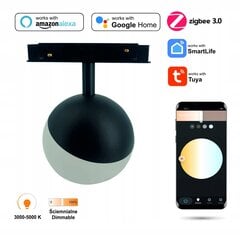 Подвесная лампа Sphere цена и информация | Потолочные светильники | kaup24.ee