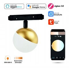 Подвесная лампа Sphere цена и информация | Потолочные светильники | kaup24.ee