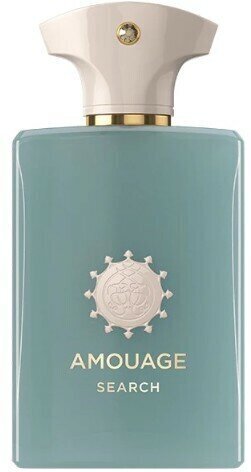 Parfüümvesi Amouage Search EDP naistele/meestele, 100 ml цена и информация | Naiste parfüümid | kaup24.ee