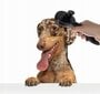 Isepuhastuv kassi ja koera karvahari, 18 x 9,5 x 5 cm цена и информация | Hooldusvahendid loomadele | kaup24.ee