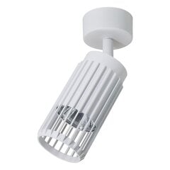 Потолочный светильник Milagro Vertical ML0303. цена и информация | Потолочные светильники | kaup24.ee