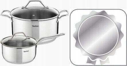 Pottide ja pannide komplekt Tefal Intuition Duetto+ B864SA74 G7334055 B817S255, 13 tükki цена и информация | Potid ja kiirkeedupotid | kaup24.ee