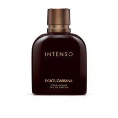 Парфюмированная вода Dolce & Gabbana Pour Homme Intenso EDP для мужчин, 125 мл цена и информация | Мужские духи | kaup24.ee