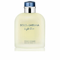 Туалетная вода Dolce & Gabbana Light Blue Pour Homme EDT для мужчин, 200 мл цена и информация | Мужские духи | kaup24.ee