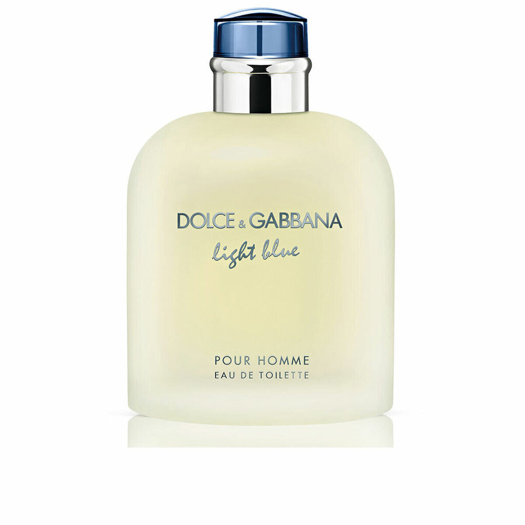 Tualettvesi Dolce & Gabbana Light Blue Pour Homme EDT meestele, 200 ml цена и информация | Meeste parfüümid | kaup24.ee