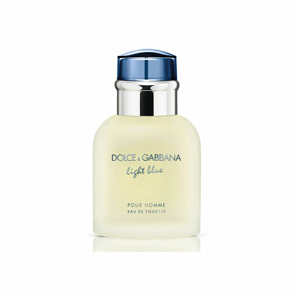 Meeste tualettvesi Dolce & Gabbana Light Blue Pour Homme EDT meestele, 40 ml hind ja info | Meeste parfüümid | kaup24.ee