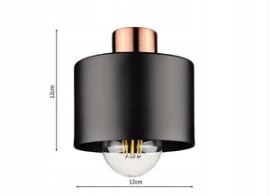 Подвесной светильник Led-lux LX-1100 цена и информация | Потолочный светильник, 38 x 38 x 24 см | kaup24.ee