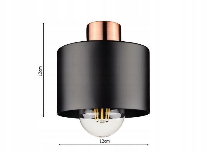 Rippvalgusti Led-lux LX-1100 hind ja info | Rippvalgustid | kaup24.ee