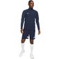 Nike DF Academy lühikesed püksid meestele 1467 451, sinine hind ja info | Meeste spordiriided | kaup24.ee