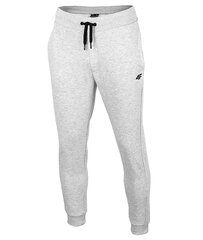 Спортивные брюки мужские 4F SPMD350, серые цена и информация | Мужская спортивная одежда | kaup24.ee