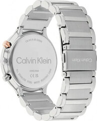 Käekell naistele Calvin Klein 25200238 hind ja info | Naiste käekellad | kaup24.ee