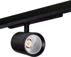 Потолочный светильник Kanlux Acord ATL1 цена и информация | Потолочные светильники | kaup24.ee