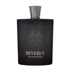 Parfüümvesi Fragrance World Beverly EDP meestele, 100 ml hind ja info | Meeste parfüümid | kaup24.ee