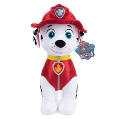 Paw Patrol Marshall kaisukoer 29 cm цена и информация | Мягкие игрушки | kaup24.ee