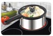 Tefal Poti ja panni kaas Ingenio L9936482, 22 cm цена и информация | Potid ja kiirkeedupotid | kaup24.ee