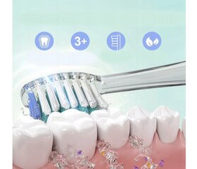 Зубная щетка Seago SG-977 цена и информация | Электрические зубные щетки | kaup24.ee
