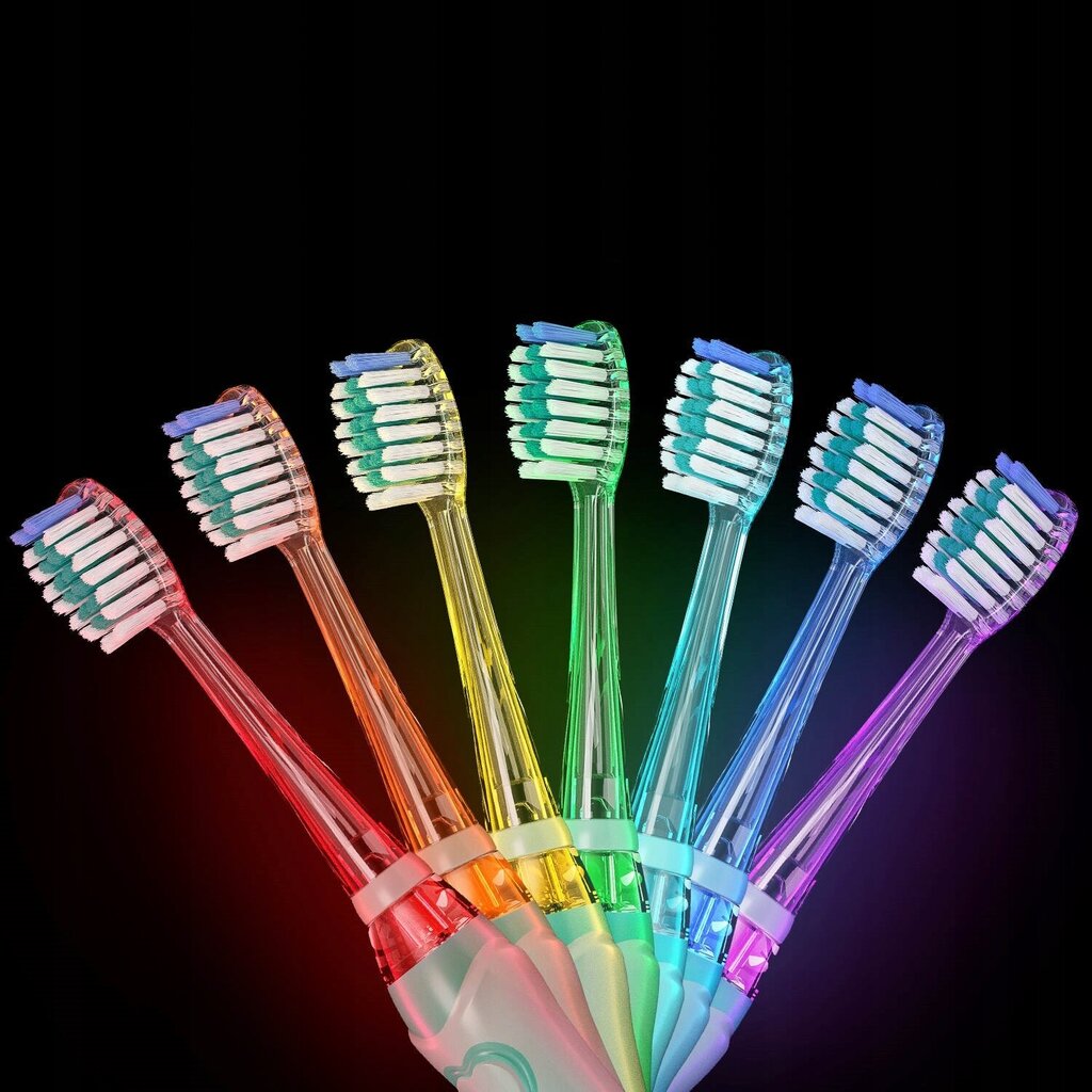 Seago SG-977 hind ja info | Elektrilised hambaharjad | kaup24.ee