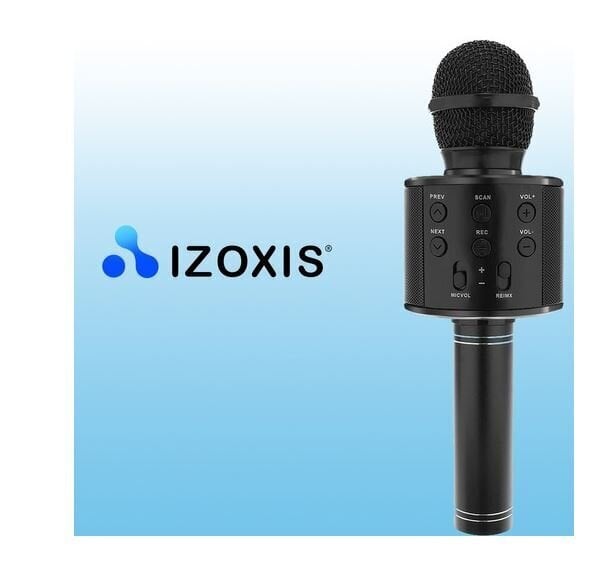 Karaoke mikrofon, must hind ja info | Mikrofonid | kaup24.ee