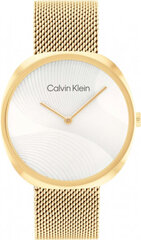 Käekell naistele Calvin Klein 1685215 hind ja info | Naiste käekellad | kaup24.ee