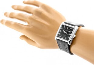 женские часы extreim ext-y020a-2a (zx667b) цена и информация | Женские часы | kaup24.ee
