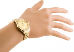 женские bisset bsbe67 - золото (zb557e) цена и информация | Женские часы | kaup24.ee