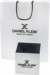 часы daniel klein 12177-5 (zl502f) + коробка цена и информация | Женские часы | kaup24.ee