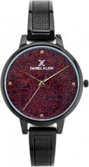 часы daniel klein 12186-6 (zl506f) + коробка цена и информация | Женские часы | kaup24.ee