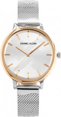 часы daniel klein 12205-4 (zl500b) + коробка цена и информация | Женские часы | kaup24.ee