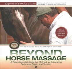 Beyond Horse Massage Wall Chart hind ja info | Tervislik eluviis ja toitumine | kaup24.ee