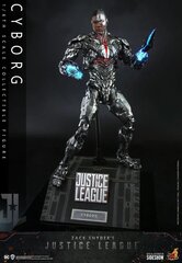 Zack Snyderi õigluse liiga tegevusjoonis 1/6 Küborg 32 cm hind ja info | Poiste mänguasjad | kaup24.ee