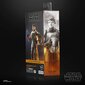 Kuju Star Wars The Black Series Din Djarin, 15 cm цена и информация | Poiste mänguasjad | kaup24.ee