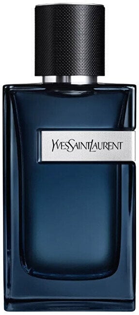 Parfüümvesi Yves Saint Laurent Y Intense EDP meestele, 100 ml hind ja info | Meeste parfüümid | kaup24.ee