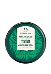 Peanahakoorija The Body Shop Tea Tree, 240 ml цена и информация | Средства для укрепления волос | kaup24.ee