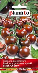 Kokteiltomatid Black Cherry hind ja info | Köögivilja-, marjaseemned | kaup24.ee