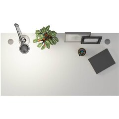 Письменный стол Tenzo Lipp  цена и информация | Компьютерные, письменные столы | kaup24.ee