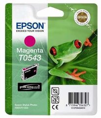 Epson T0543 цена и информация | Картриджи для струйных принтеров | kaup24.ee