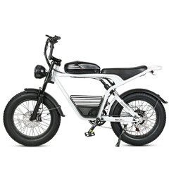 Elektrijalgratas Samebike M20, 20", valge hind ja info | Elektrirattad | kaup24.ee