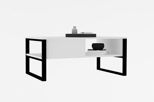 Кофейный столик Asir, 100x60x44 см, белый цена и информация | Журнальные столики | kaup24.ee