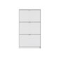 Jalanõude riiul Aatrium, 70x24x123 cm, valge hind ja info | Jalatsikapid, jalatsiriiulid | kaup24.ee