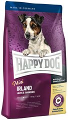 Kuivtoit Happy Dog väikest tõugu valivatele koertele Mini Irland, 4 kg цена и информация |  Сухой корм для собак | kaup24.ee