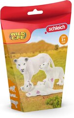 Фигурка львицы и детеныша Schleich 42505 цена и информация | Развивающий мелкую моторику - кинетический песок KeyCraft NV215 (80 г) детям от 3+ лет, бежевый | kaup24.ee