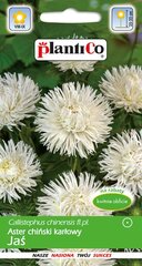 Aster Jas hind ja info | Lilleseemned | kaup24.ee