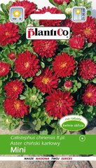 Астры низкие Mini PlantiCo цена и информация | Семена цветов | kaup24.ee